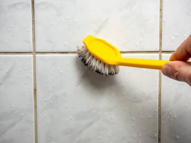 Best Residential Mold Removal  in Tuckerman, AR