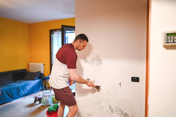 Best Fast Mold Removal  in Tuckerman, AR