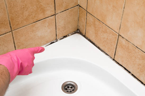 Best Certified Mold Removal  in Tuckerman, AR